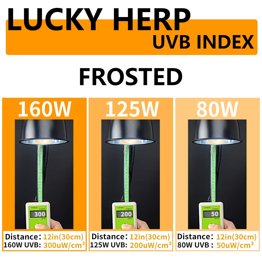 Lucky Herp 80 Watt Uva+Uvb Vapor Heat Lamp Bulb, High Intensity Self-Ballasted Heat Basking Lamp/Bulb/Light For Reptile And Amph